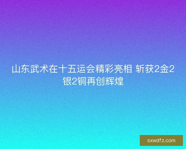 山东武术在十五运会精彩亮相 斩获2金2银2铜再创辉煌