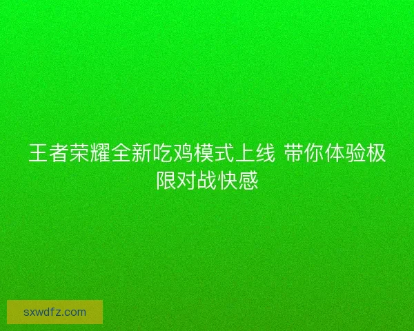 王者荣耀全新吃鸡模式上线 带你体验极限对战快感